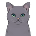 Фауна Зеленоглазая кошка Иконка