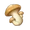 Гриб