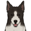 巡林犬 icon