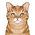 Тигровая кошка