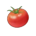 Помідор