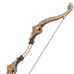 Lance-pierres