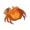 Icône Crabe