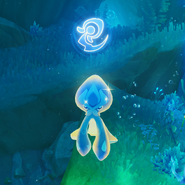 Xenochromatic Ball Octopus