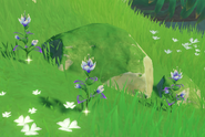 In the wild