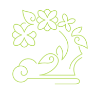 Osmanthus Shape.png (44 KB) Osmanthus Constellation