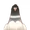 Black King Pigeon