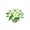 Dawnrouge Silkpod