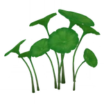 安定葉傘 (48キロバイト) 安定葉傘