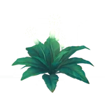 Concentrated Alabaster