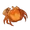 Crab