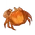 Crab