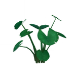 Umbrella of Dewdrops