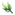 Seagrass