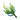 Seagrass