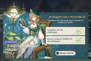 An Elegant Lady's Wardrobe