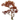 Item The Wandering Bird Within.png