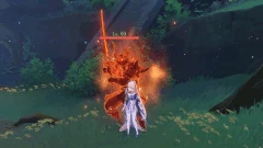 Combo 2