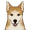 柴犬 (調度品)