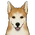 柴犬 (調度品)