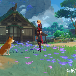 Category Bits and Bobs for Cats and Dogs Genshin Impact Wiki