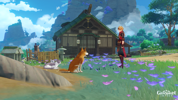 Bobs for cats and dogs store