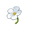 Initiate's Flower