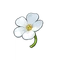 Initiate's Flower