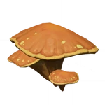 砂橙天井茸 (43キロバイト) 砂橙天井茸