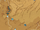 Nameless Researcher's Notes