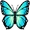 Blue Butterfly