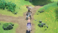 Eremite Sunfrost Boomerang