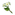 Qingxin