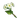 Item Qingxin.png