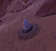 In the Wild