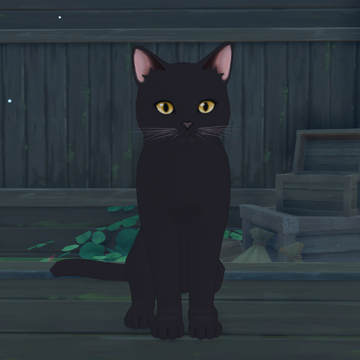 Neko | Genshin Impact Wiki | Fandom Neko | Genshin Impact Wiki | Fandom