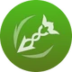 Dây Leo Sinh Trưởng
