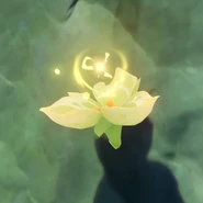 Stamina Flower found on side of cliff