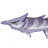 Item Venomspine Fish.png