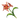 Item Windwheel Aster.png