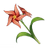 Item Windwheel Aster.png