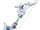 Compound Bow