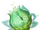 Bija