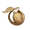 枯れたクサヴァ