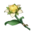 Item Sweet Flower