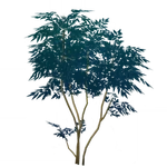 茂生蝶緑 (59キロバイト) 茂生蝶緑