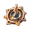 Mystic's Gold Dial