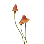 陽紅揺れ茸 (20キロバイト) 陽紅揺れ茸
