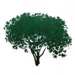 飛泉花錦 (56キロバイト) 飛泉花錦