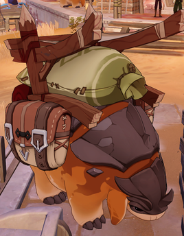 NPC Windwheel Aster